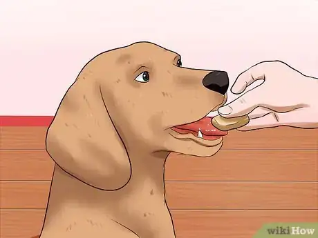 Image titled Make a Dog Stop Biting Step 8