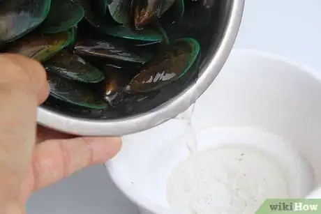 Image titled Store Mussels Step 4