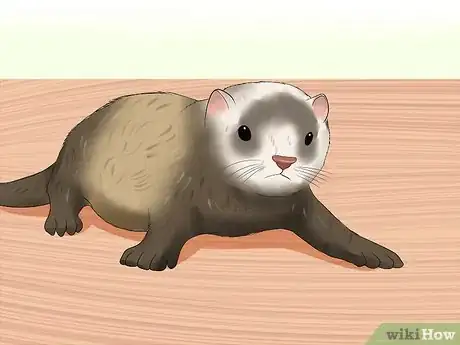 Image titled Train a Ferret Not to Bite Step 6