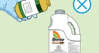 Dispose of Roundup Weed Killer