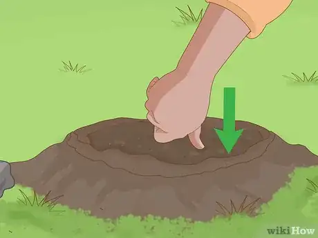 Image titled Set a Victor Mole Trap Step 12