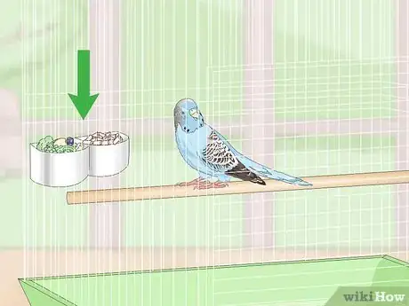 Image titled See if Your Pet Budgie Is Sick Step 3