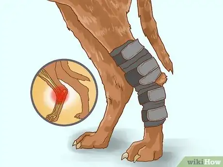 Image titled Make a Homemade Knee Brace for My Dog Step 1