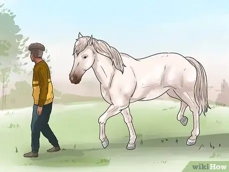 Image titled Tell if Your Horse Needs Hock Injections Step 5
