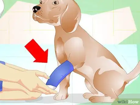 Image titled Diagnose Broken Bones in Dogs Step 9