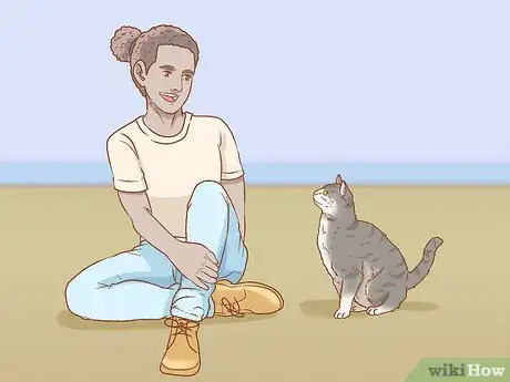 Image titled Teach Your Cat to Sit Step 11