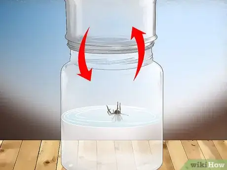 Image titled Set Spider Traps Step 13