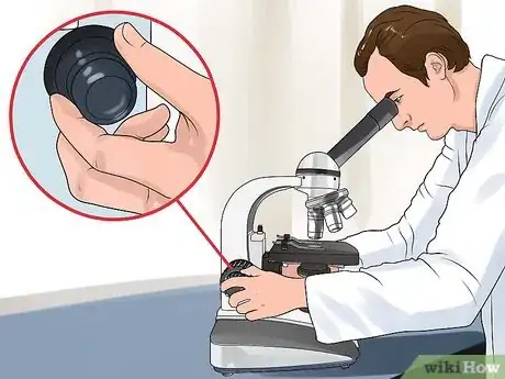 Image titled Use a Compound Microscope Step 10