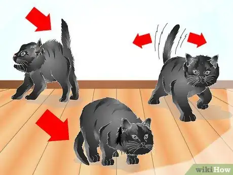 Image titled Teach Your Cat to Talk Step 3