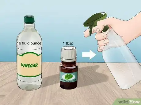 Image titled Get Rid of Wasps with Vinegar Step 5