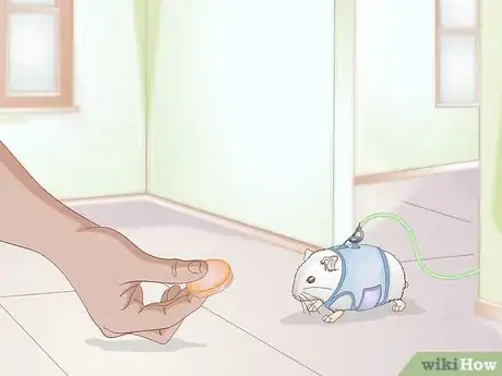 Image titled Walk Your Hamster Step 6