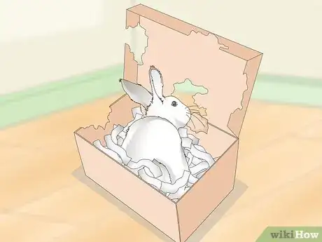 Image titled Love Your Rabbit Step 10
