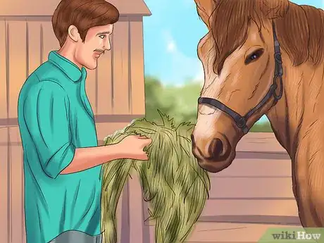 Image titled Hand Feed a Horse Step 8