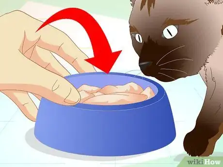 Image titled Help a Cat with a Broken Shoulder Step 16