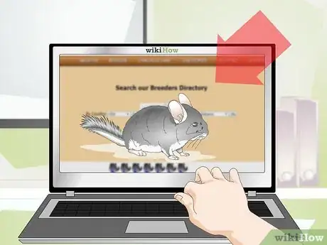 Image titled Buy a Chinchilla Step 7
