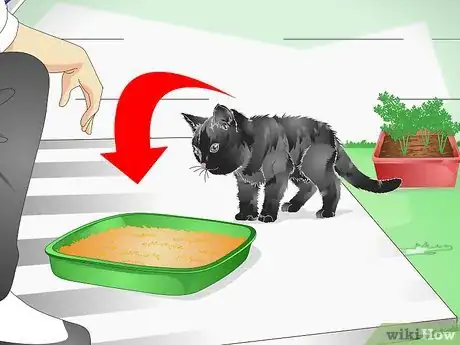 Image titled Keep a Cat out of Potted Plants Step 11