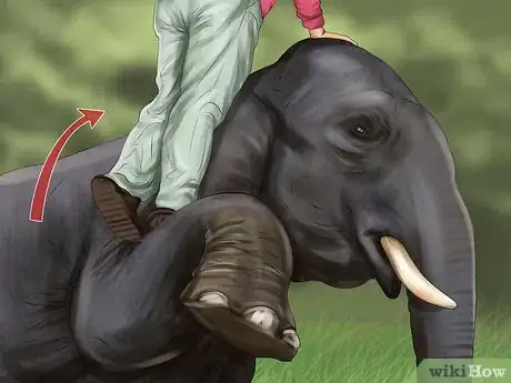 Image titled Ride an Elephant Step 4