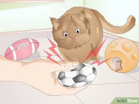 Image titled Get Your Cat to Stop Knocking Things Over Step 7