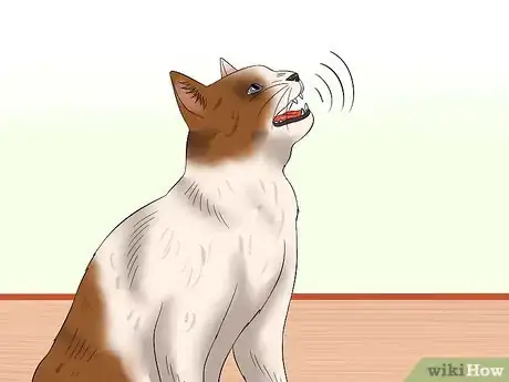 Image titled Tell if a Cat Is in Pain Step 8