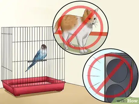 Image titled Tell if Your Pet Budgie Likes You Step 12