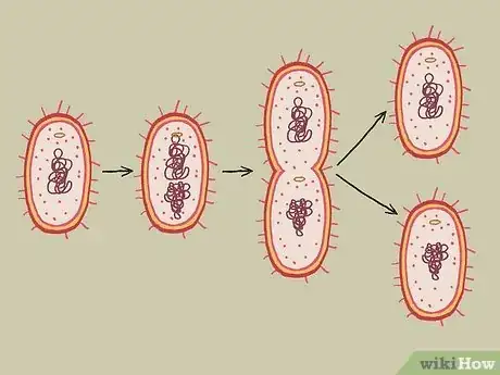 Image titled What Do All Cells Have in Common Step 9