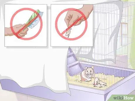 Image titled Handle Unexpected Baby Hamsters Step 3