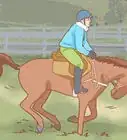 Avoid Injuries While Falling Off a Horse
