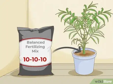 Image titled Fertilize Indoor Plants Step 1