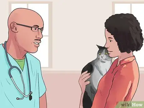 Image titled Get Your Cat to Stop Hissing Step 17