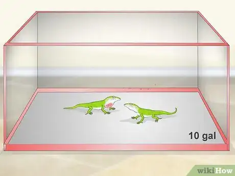 Image titled Set up a Green Anole Tank Step 1