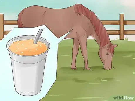 Image titled Treat Stomach Ulcers in Horses Step 12
