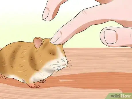 Image titled Train a Hamster Not to Bite Step 8