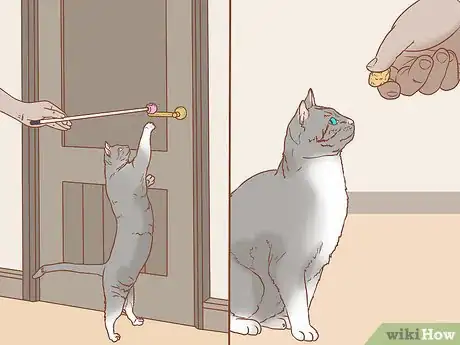 Image titled Teach a Cat to Open a Door Step 11