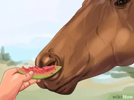 Image titled Hand Feed a Horse Step 6