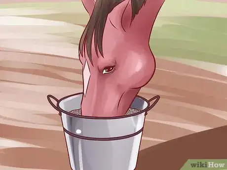Image titled Help a Horse Recover from Founder Step 12