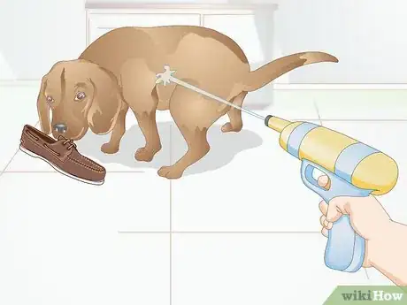 Image titled Deter a Dog from Misbehaving Using a Water Gun Step 3