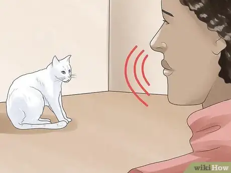 Image titled Tell if Your Cat Is Deaf Step 3