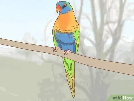 Image titled Identify Parrots Step 4