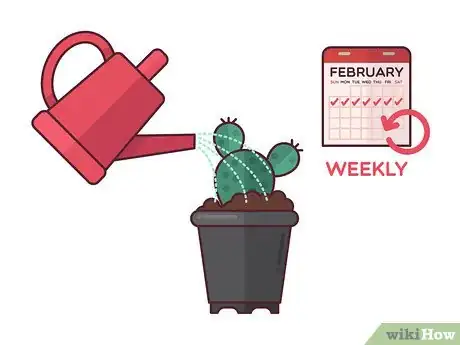 Image titled Grow Cactus Indoors Step 9