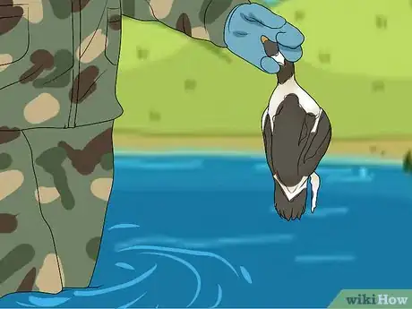 Image titled Start Duck Hunting Step 22