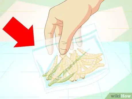Image titled Feed Mealworms to a Bearded Dragon Step 1