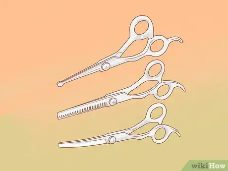 Image titled Full Scissor a Poodle by Hand Step 1