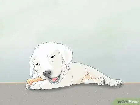 Image titled Get Your Puppy to Stop Biting Step 4