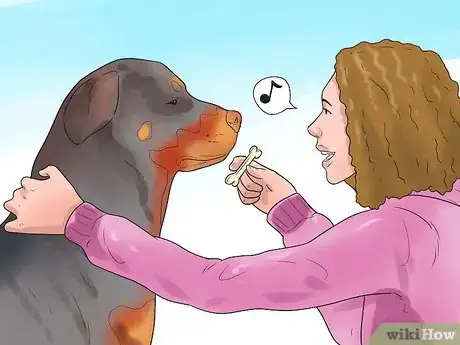 Image titled Teach Your Dog Tricks Step 13
