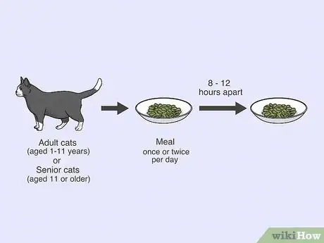 Image titled Feed an Overweight Cat Step 8