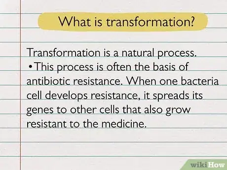 Image titled Transfection vs Transduction Step 5