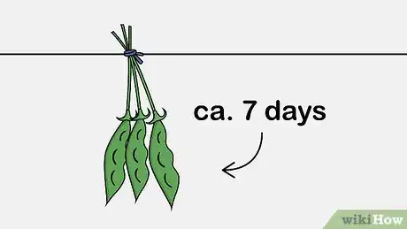 Image titled Harvest Sweet Pea Seed Pods Step 5