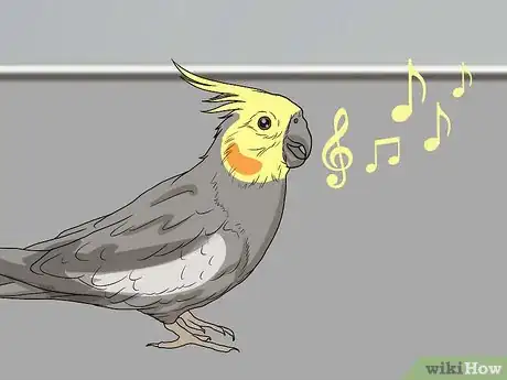 Image titled Spot Signs of Illness in a Cockatiel Step 3