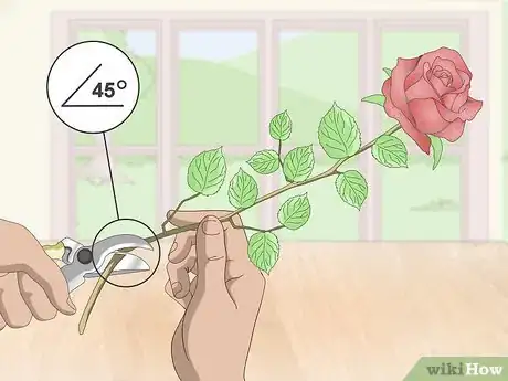 Image titled Arrange Long Stem Roses Step 1