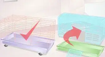 Set up a Pet Rat Cage